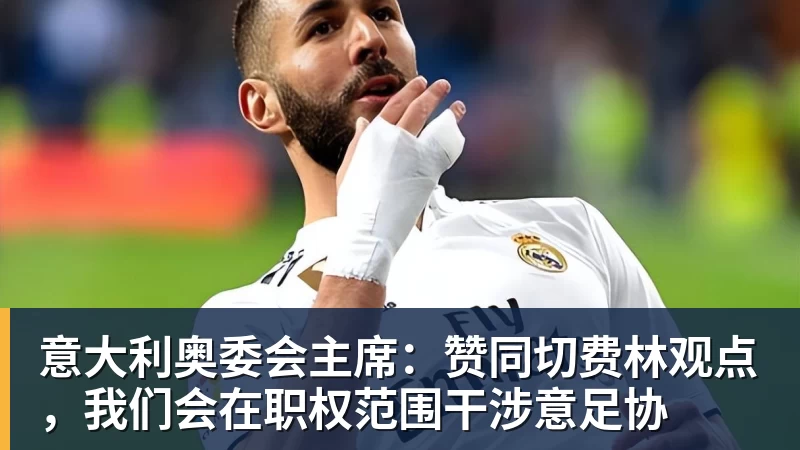 千亿体育意大利奥委会主席:赞同切费林观点,我们会在职权范围干涉意足协
